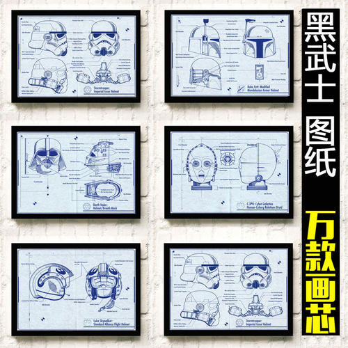 UniversitédeLyon证书